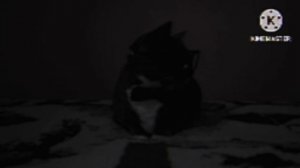 Вырезанный фрагмент Котинет