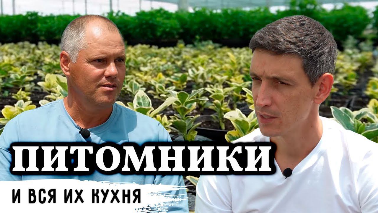 Питомник декоративных растений / ТОП-5 растений легкого выращивания смотреть онлайн