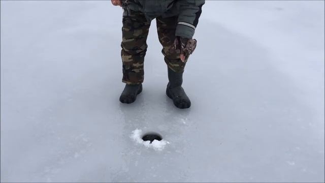 Зимняя рыбалка на Главном Банке смотреть онлайн