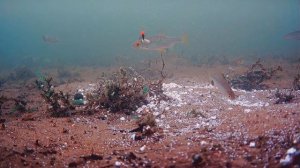 Подводная камера -настройки