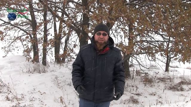 Кратко о... ГОСТЕПРИИМСТВЕ смотреть онлайн