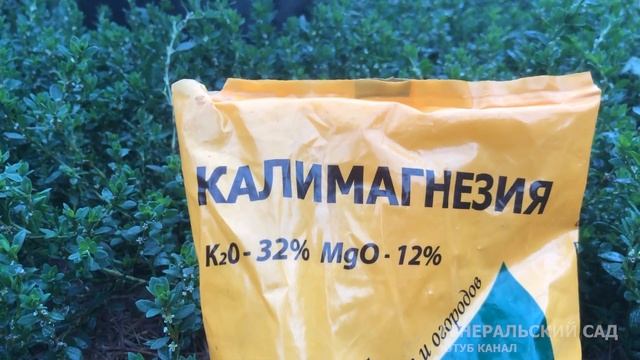 Огромная Картошка вырастает после этого Осеннего Удобрения! Заправьте в землю под картофель с Осени смотреть онлайн