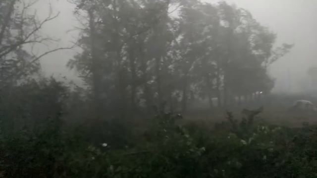 Ураган в Юрьев-Польском 7 августа 2016 г. смотреть онлайн