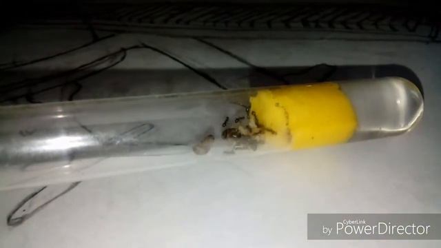 Давайте поговорим. смотреть онлайн