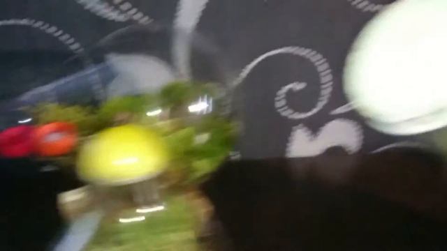 Как сделать вечный ТЕРРАРИУМ. Два больших и один маленький смотреть онлайн