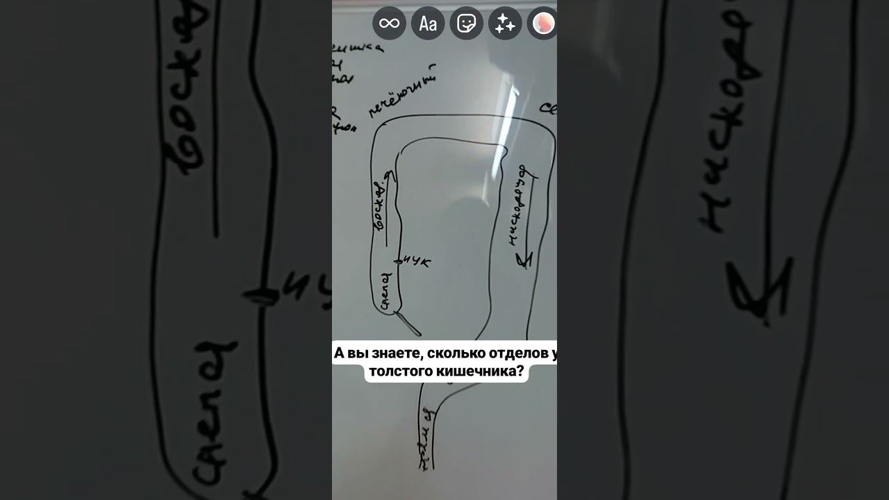 ВИСЦЕРАЛЬНЫЙ МАССАЖ. Семинар. Астрахань. 2024 г. #висцеральныймассаж смотреть онлайн