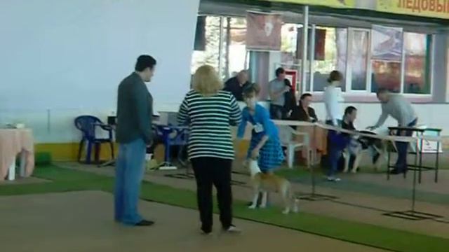 Франс выставка класс беби смотреть онлайн