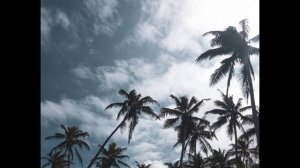 Вануату    История