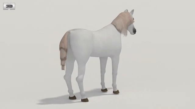Arabian Horse (Equus Ferus Caballus) by 3D model store Humster3D.com смотреть онлайн