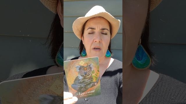 Daily Oracle Reading - 15/01/2023 - The Universe has a Plan смотреть онлайн