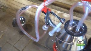 Доильный аппарат Меласти (Melasty) на две козы. Обзор. Промывка. Дойка