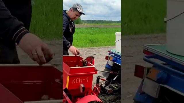 Узнайте, посадка картофеля, МОТОБЛОК МТЗ БЕЛАРУС #мотоблок #картофель #2023 #обзор #agriculture #1k смотреть онлайн