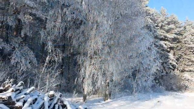 Прогулка в зимний лес смотреть онлайн