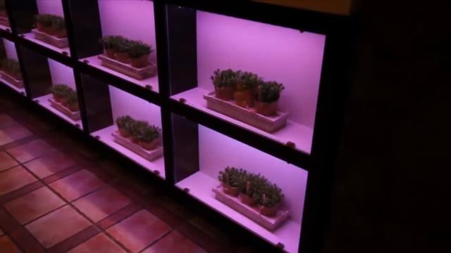 Подсветка стойки бара в ресторане RGB лентой смотреть онлайн