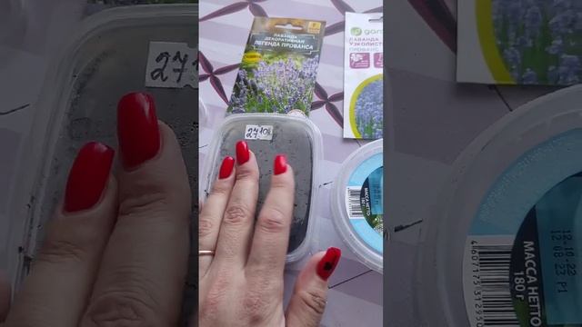 Посадка лаванды семенами двумя способами? ч. 1. смотреть онлайн