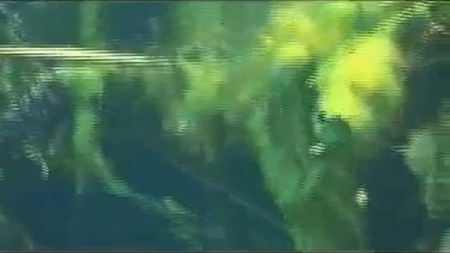 Cenote Ponderosa. Плато.wmv