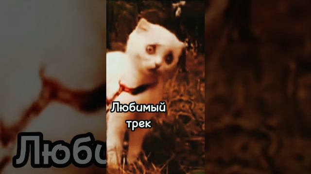 Когда слышишь любимый трек