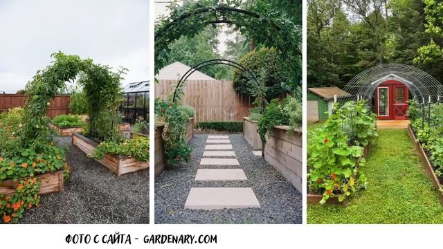 Смешанные посадки овощей на грядке. Сведение к минимуму ущерба от вредителей. смотреть онлайн