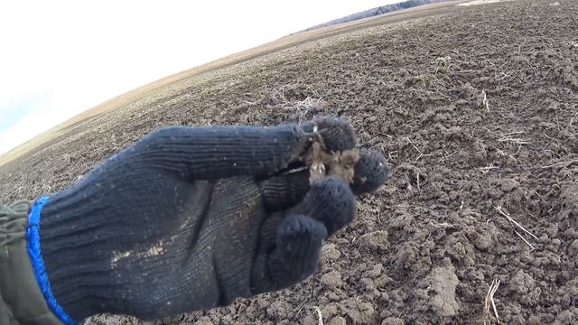 Распашка чешуи 2
