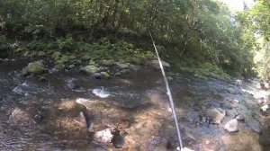 рыбалка в приморском крае. июль 2018г. рыбалка в верховьях реки( пеструшка, сима)