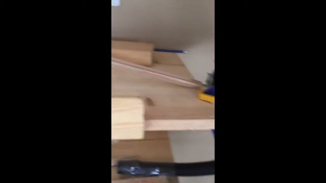 Science 8 01 Rude Goldberg Machine смотреть онлайн