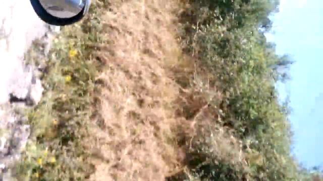 2.0 hdi XSARA PICASO (0-99 km/h)