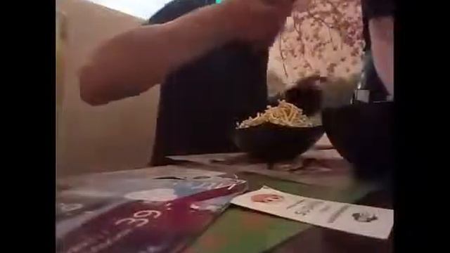 Мопс заехал в суши бар смотреть онлайн