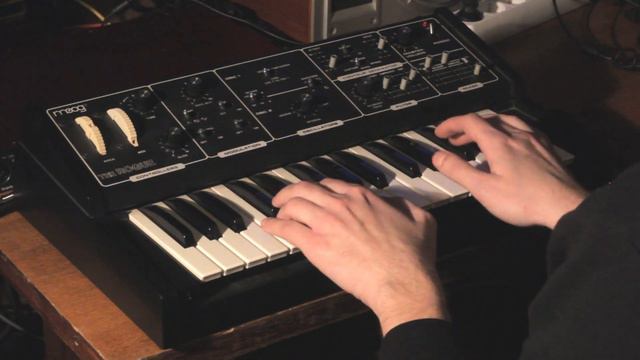 Moog Rogue (1981) Analog Synthesizer  - Test With Some Effects