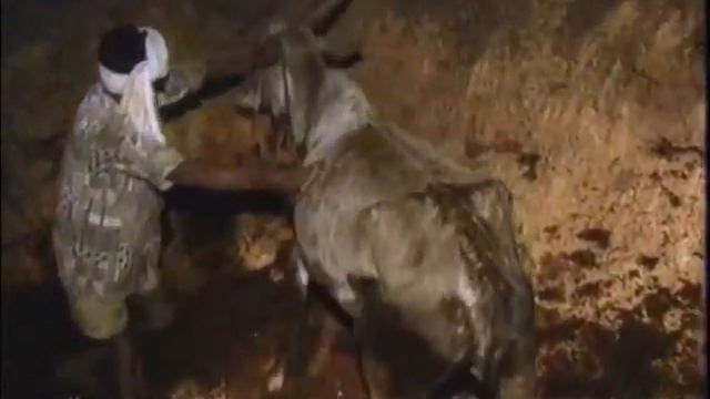 Откуда мясо? смотреть онлайн