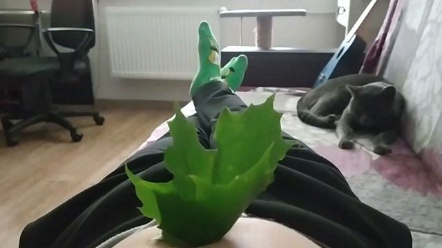 лайфхак для садоводов