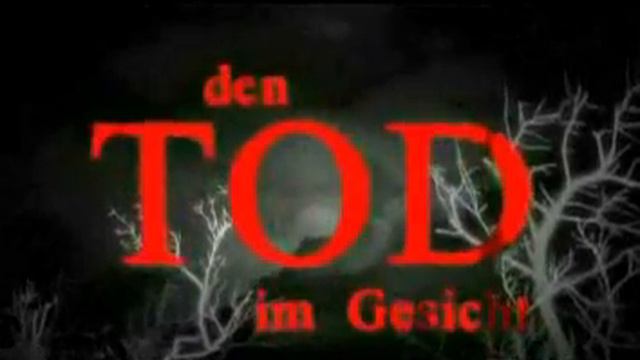 Totengleich - Tana French смотреть онлайн