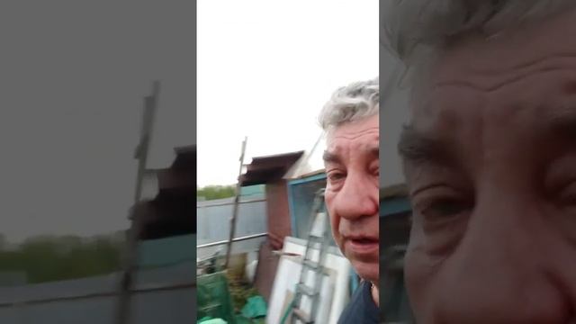 ?Виктор на объекте#голубеводство #дача #голуби #сад смотреть онлайн
