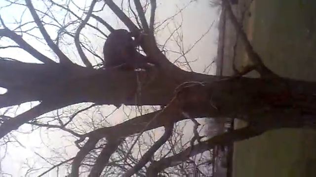 Стаф гонит смотреть онлайн