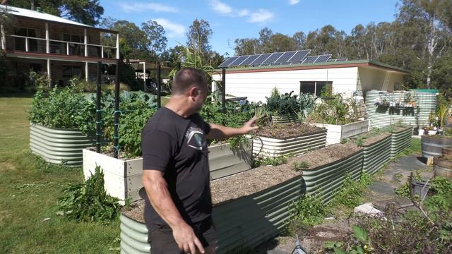 What Vegetable Crops I'm Growing and Sowing NOW in WINTER Garden смотреть онлайн