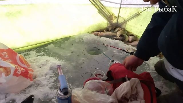 Зимняя рыбалка на карася Курганская область о Яровое 4 декабря 2022 смотреть онлайн