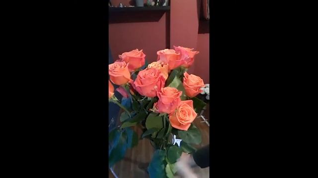 Роза Декора (Decora) Эквадорский сорт Обзор