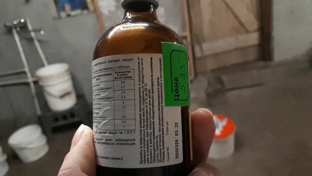 #ВЫЗЫВАЕМ ОХОТУ У КОРОВЫ#ДОНСКОЙ КОРМОВОЙ БАЛАНС#ДКБ# смотреть онлайн