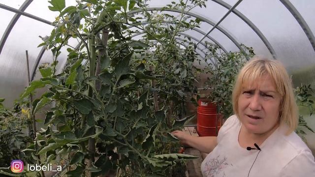 Не_скучный огород в Питере смотреть онлайн