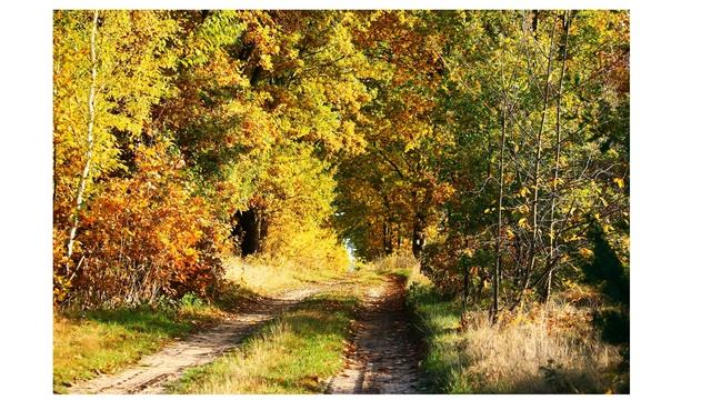 2 класс по тропке смотреть онлайн