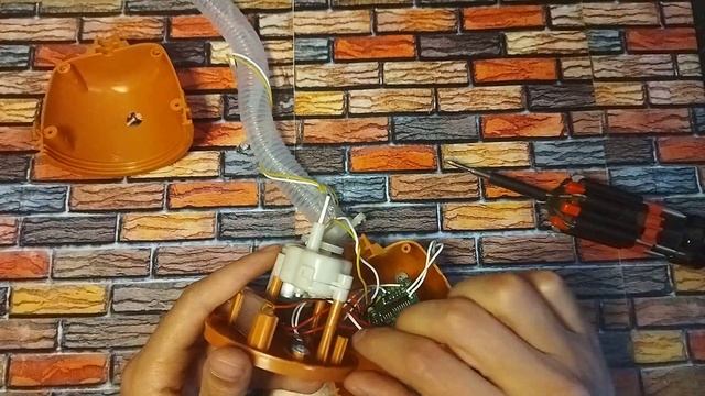 Что внутри танцующего кактуса? смотреть онлайн