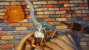 Что внутри танцующего кактуса?