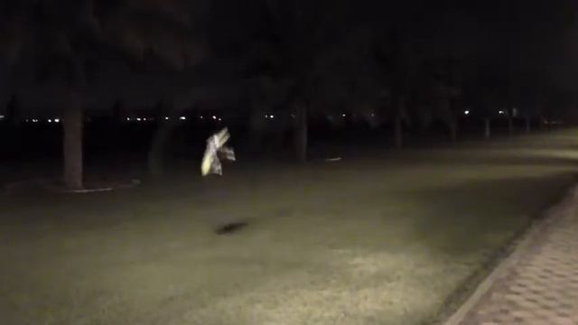 Радиоуправляемым вертолетом упровляет ас