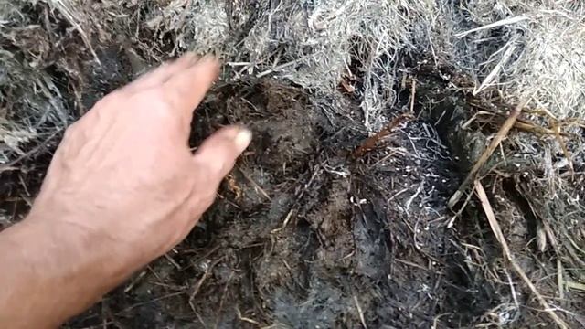 Как лучше делать из травы удобрение. смотреть онлайн