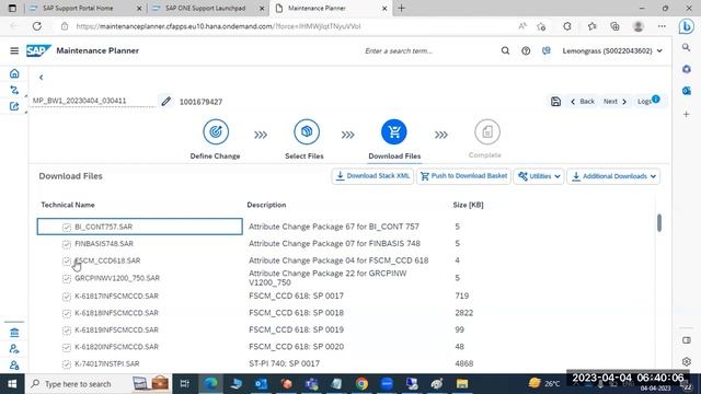 SAP BASIS - SAP UPGRADE or PATCHING PRE-STEPS смотреть онлайн