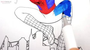 Человек паук \ Раскраска для детей \ Учим цвета