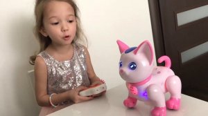 Веселый поющий котик Златки. Интерактивный кот робот с пультом. Распаковка игрушки
