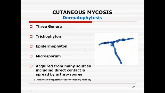 Mycology3 By Dr Sajid Class 3rd Year смотреть онлайн