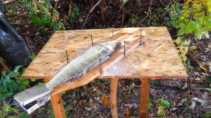 Чистка рыбы керхером