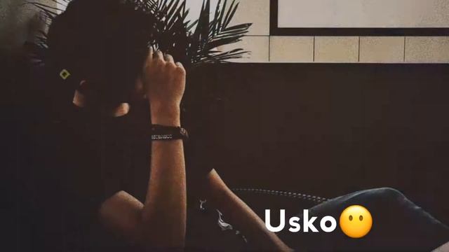 sid status video alluarjun смотреть онлайн