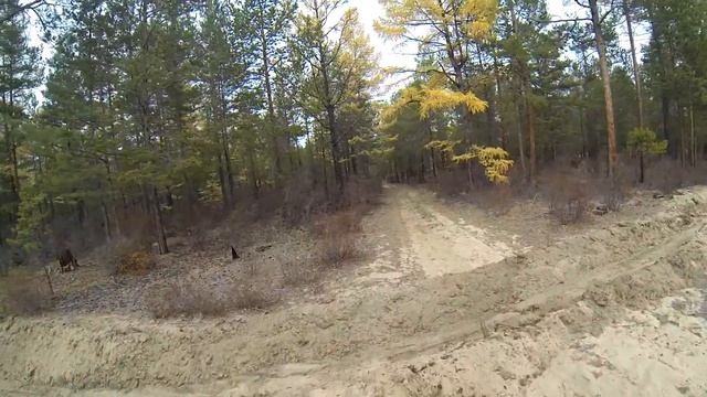 Subaru Outback песок